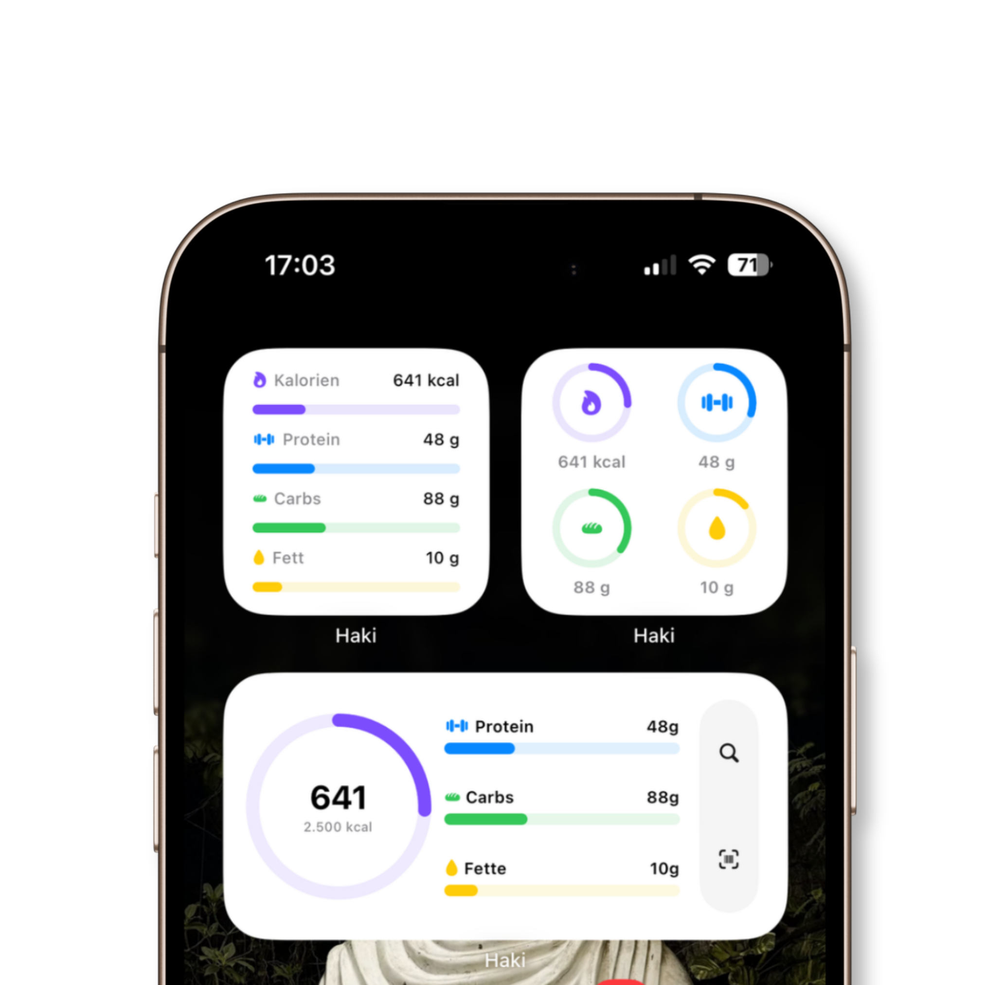 App Screenshot 4